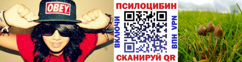 Псилоцибиновые грибы Magic Shrooms  закладка  Родники 