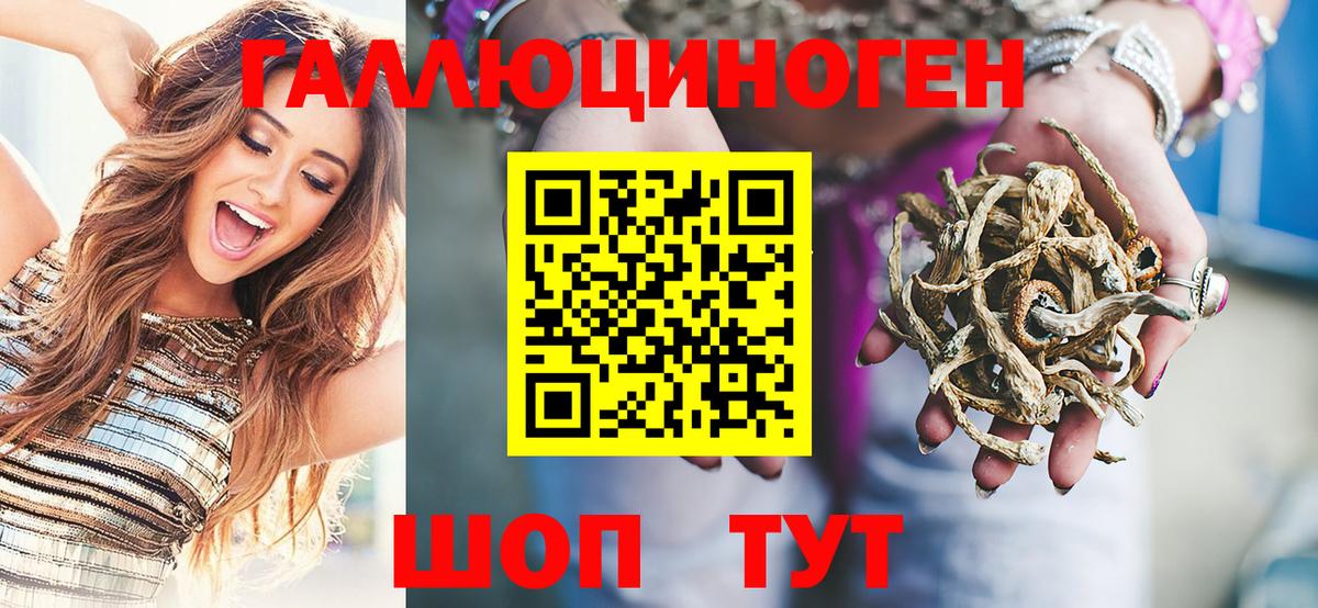 Галлюциногенные грибы Psilocybe Родники